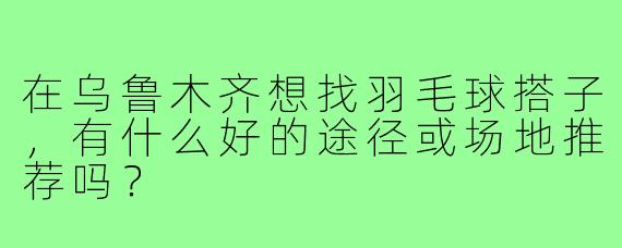 在乌鲁木齐想找羽毛球搭子，有什么好的途径或场地推荐吗？