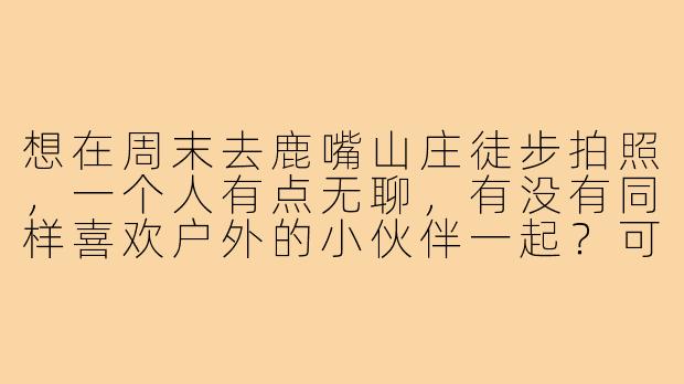 想在周末去鹿嘴山庄徒步拍照，一个人有点无聊，有没有同样喜欢户外的小伙伴一起？可以互相拍照、分享路线，轻松休闲游，男女不限，求捡或组队！-鹿嘴山庄找搭子