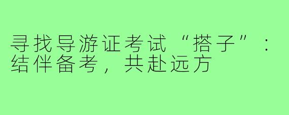 寻找导游证考试“搭子”：结伴备考，共赴远方