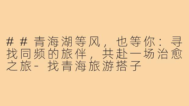 ##青海湖等风,也等你:寻找同频的旅伴,共赴一场治愈之旅-找青海旅游搭子