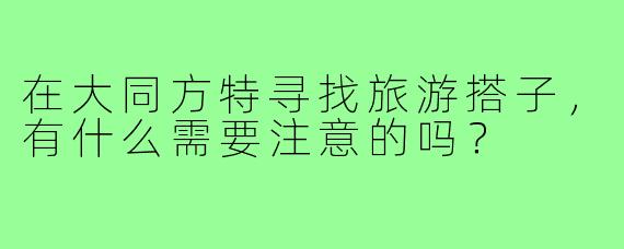 在大同方特寻找旅游搭子，有什么需要注意的吗？