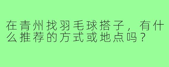 在青州找羽毛球搭子，有什么推荐的方式或地点吗？