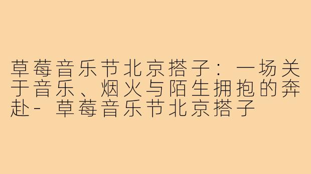 草莓音乐节北京搭子：一场关于音乐、烟火与陌生拥抱的奔赴-草莓音乐节北京搭子