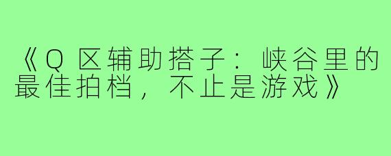 《Q区辅助搭子：峡谷里的最佳拍档，不止是游戏》