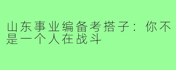 山东事业编备考搭子：你不是一个人在战斗