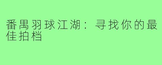 番禺羽球江湖：寻找你的最佳拍档
