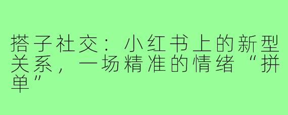 搭子社交：小红书上的新型关系，一场精准的情绪“拼单”
