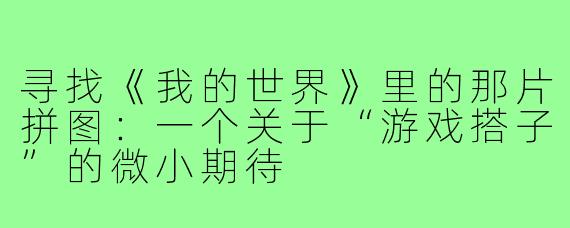 寻找《我的世界》里的那片拼图：一个关于“游戏搭子”的微小期待