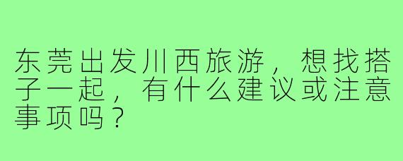 东莞出发川西旅游，想找搭子一起，有什么建议或注意事项吗？