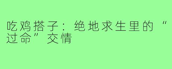 吃鸡搭子：绝地求生里的“过命”交情