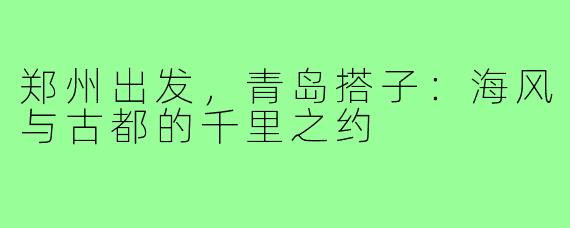 郑州出发，青岛搭子：海风与古都的千里之约