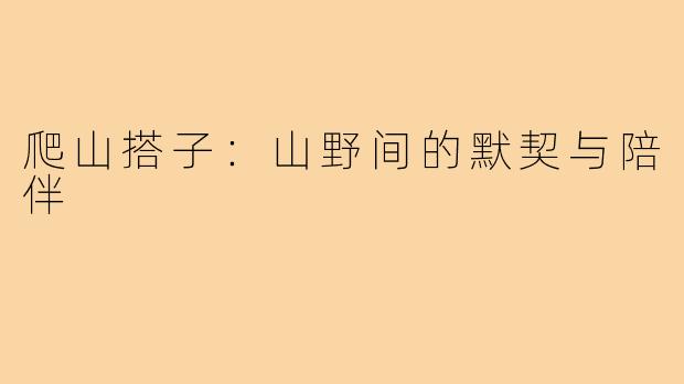 爬山搭子:山野间的默契与陪伴