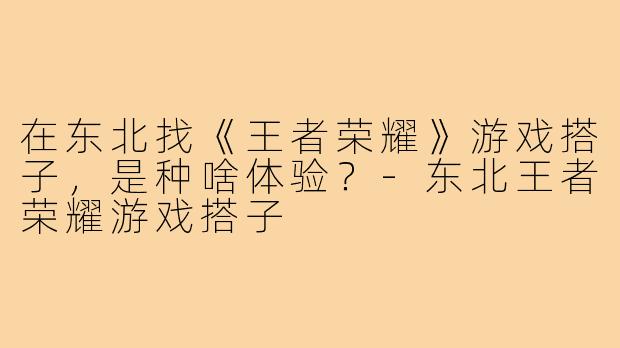在东北找《王者荣耀》游戏搭子，是种啥体验？-东北王者荣耀游戏搭子
