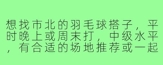 想找市北的羽毛球搭子,平时晚上或周末打,中级水平,有合适的场地推荐或一起组队吗?