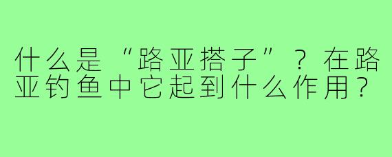 什么是“路亚搭子”？在路亚钓鱼中它起到什么作用？