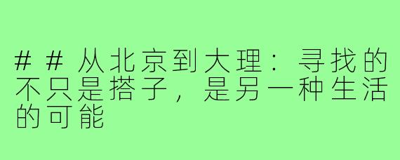 ##从北京到大理：寻找的不只是搭子，是另一种生活的可能