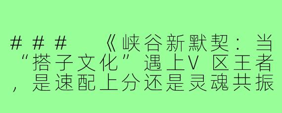 ###
《峡谷新默契：当“搭子文化”遇上V区王者，是速配上分还是灵魂共振？》

###