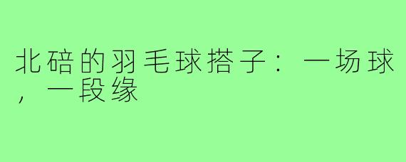 北碚的羽毛球搭子：一场球，一段缘