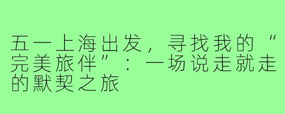 五一上海出发,寻找我的“完美旅伴”:一场说走就走的默契之旅