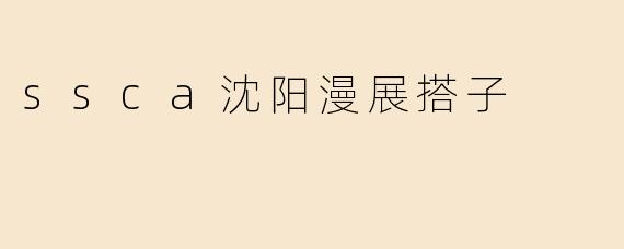 ssca沈阳漫展搭子