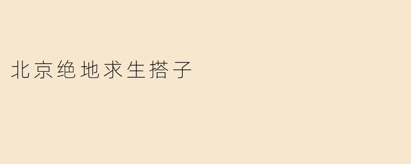 北京绝地求生搭子