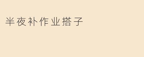 半夜补作业搭子