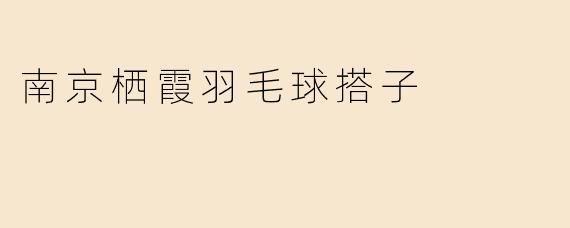 南京栖霞羽毛球搭子