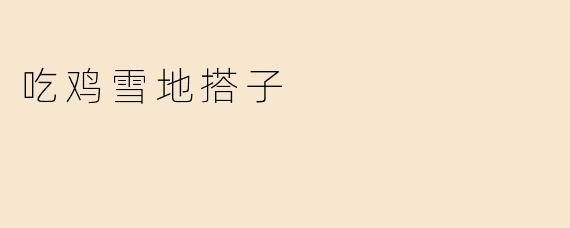 吃鸡雪地搭子