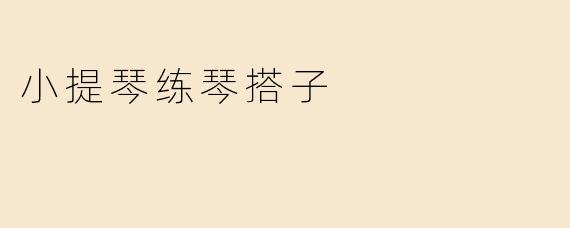 小提琴练琴搭子