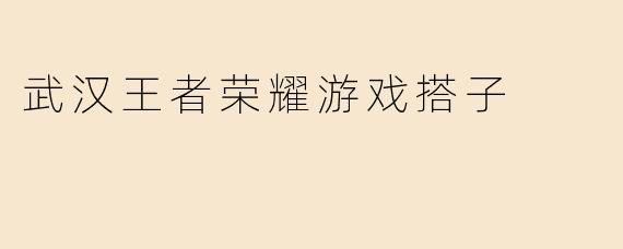 武汉王者荣耀游戏搭子