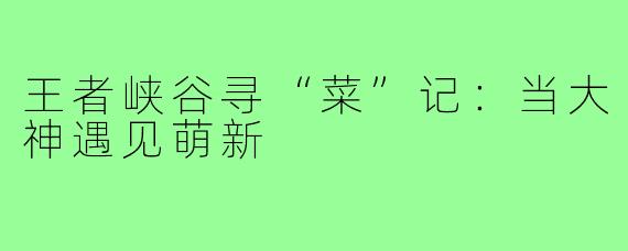 王者峡谷寻“菜”记：当大神遇见萌新