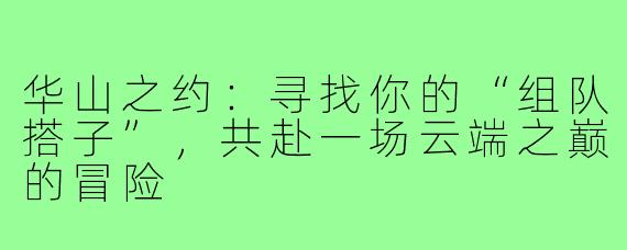 华山之约:寻找你的“组队搭子”,共赴一场云端之巅的冒险