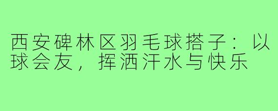 西安碑林区羽毛球搭子：以球会友，挥洒汗水与快乐