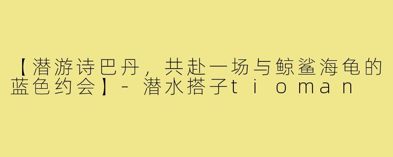 【潜游诗巴丹，共赴一场与鲸鲨海龟的蓝色约会】-潜水搭子tioman