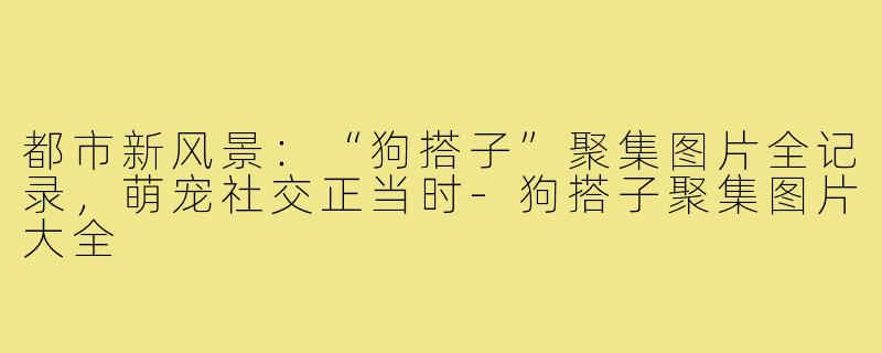 都市新风景：“狗搭子”聚集图片全记录，萌宠社交正当时-狗搭子聚集图片大全