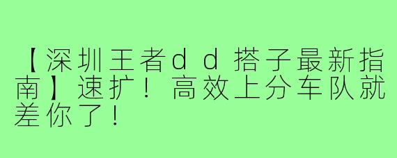 【深圳王者dd搭子最新指南】速扩！高效上分车队就差你了！