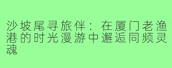 沙坡尾寻旅伴:在厦门老渔港的时光漫游中邂逅同频灵魂