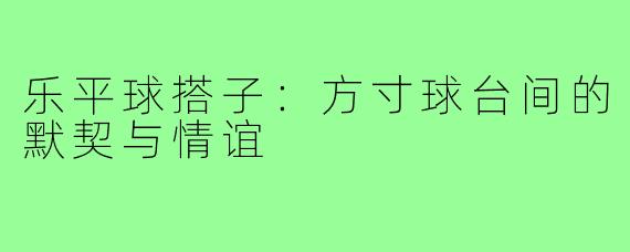 乐平球搭子：方寸球台间的默契与情谊