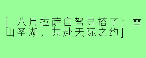 [八月拉萨自驾寻搭子：雪山圣湖，共赴天际之约]