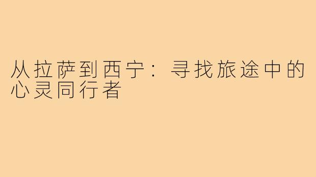从拉萨到西宁：寻找旅途中的心灵同行者