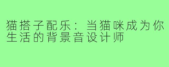 猫搭子配乐：当猫咪成为你生活的背景音设计师