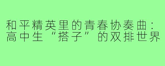 和平精英里的青春协奏曲：高中生“搭子”的双排世界