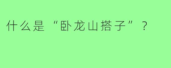 什么是“卧龙山搭子”？