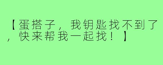 【蛋搭子,我钥匙找不到了,快来帮我一起找!】