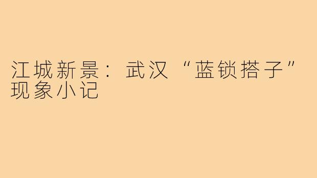 江城新景：武汉“蓝锁搭子”现象小记