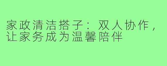 家政清洁搭子：双人协作，让家务成为温馨陪伴