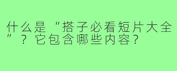 什么是“搭子必看短片大全”?它包含哪些内容?