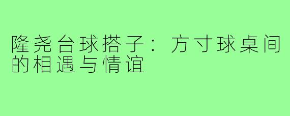 隆尧台球搭子:方寸球桌间的相遇与情谊
