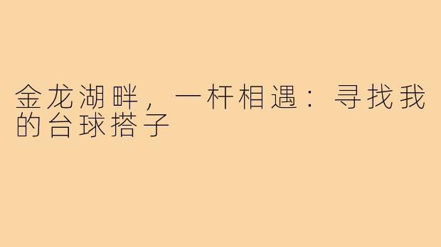 金龙湖畔,一杆相遇:寻找我的台球搭子