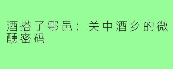 酒搭子鄠邑:关中酒乡的微醺密码